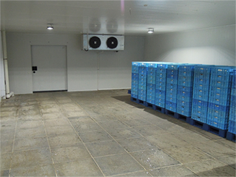 超市深夜免费网站建造