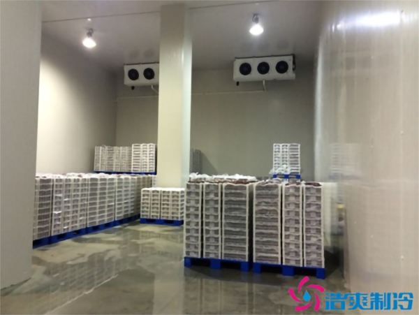 造食品低温仓储深夜免费网站