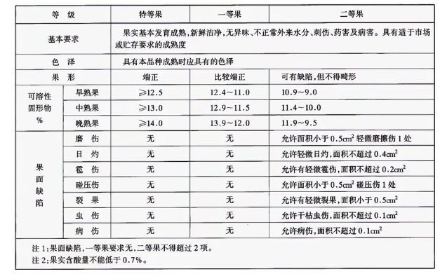 李子深夜免费网站建造完成后如何用于储存的？这些你都知道吗