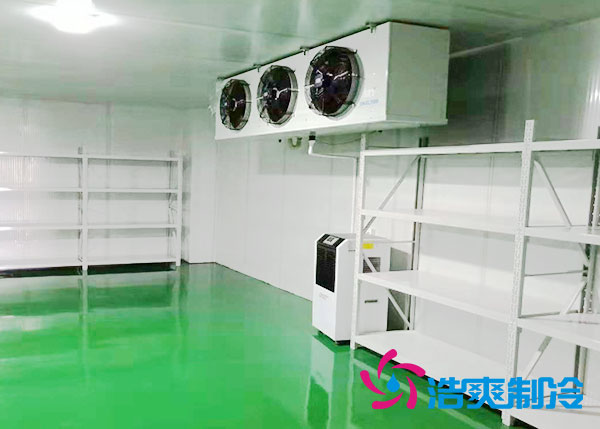 地下深夜免费网站建设造价多少钱一平方？-深夜在线视频制冷