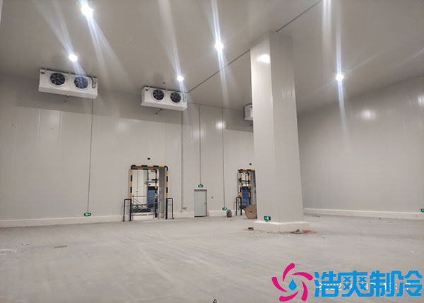 贵州大型速冻深夜免费网站建造特点.jpg