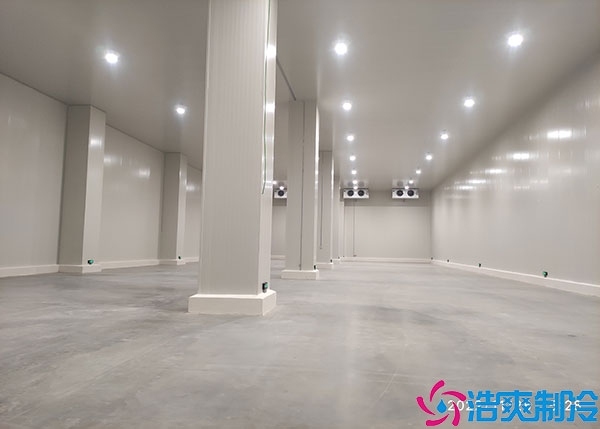 果蔬保鲜深夜免费网站建造厂家.jpg