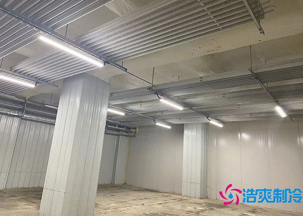 600吨货物需要建造多大的冷藏库？.jpg