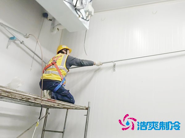 食品深夜免费网站建造